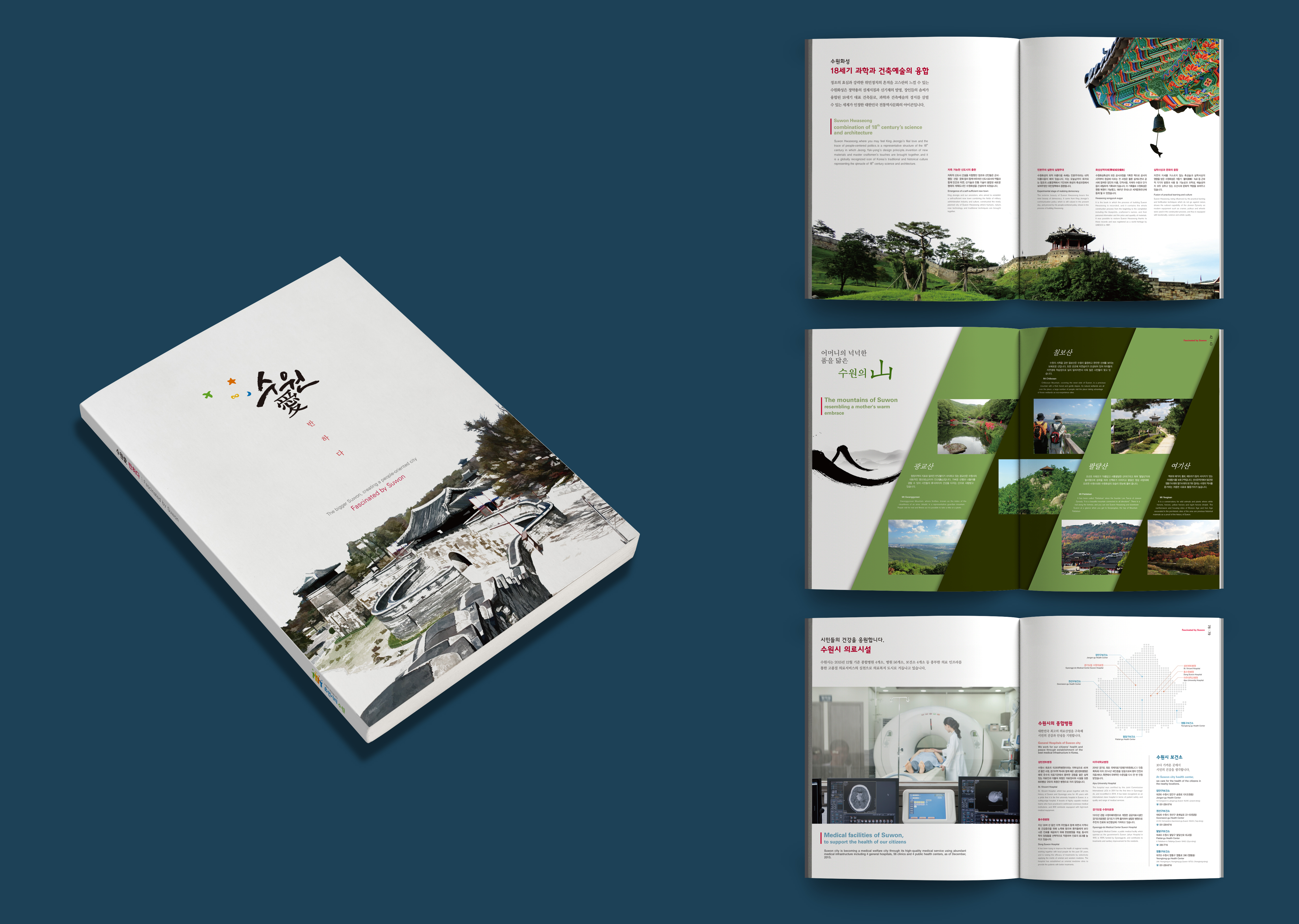 portfolio