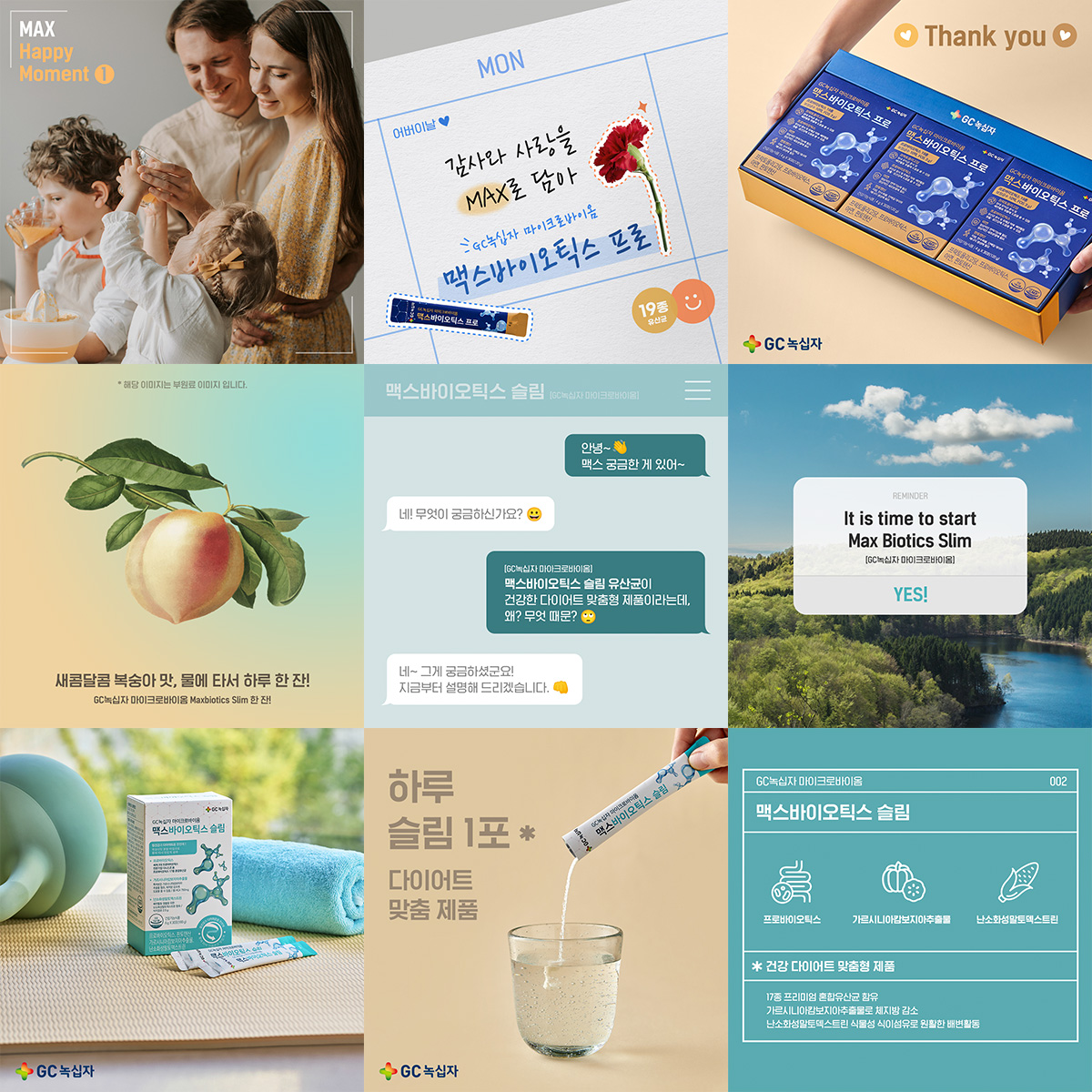 portfolio