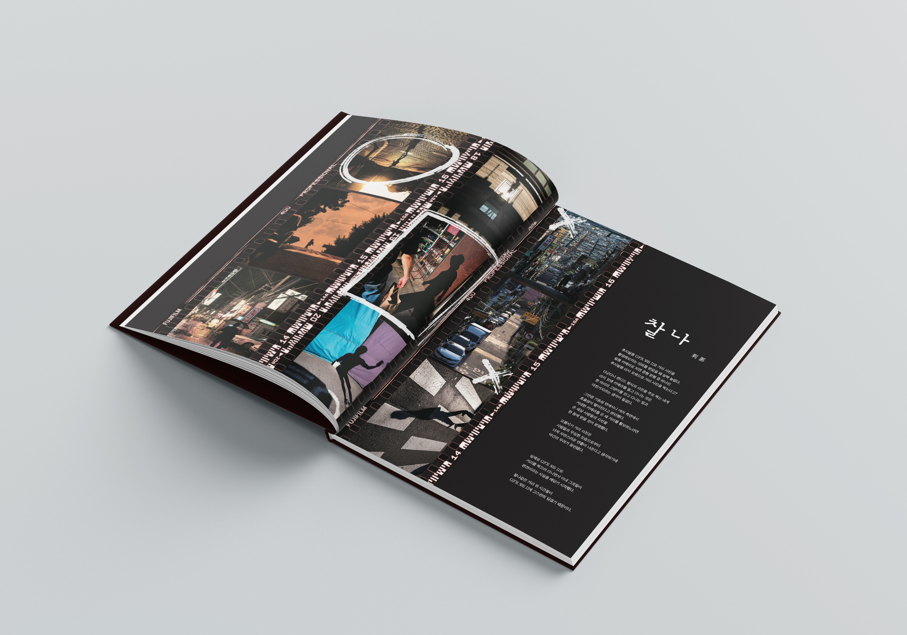 portfolio