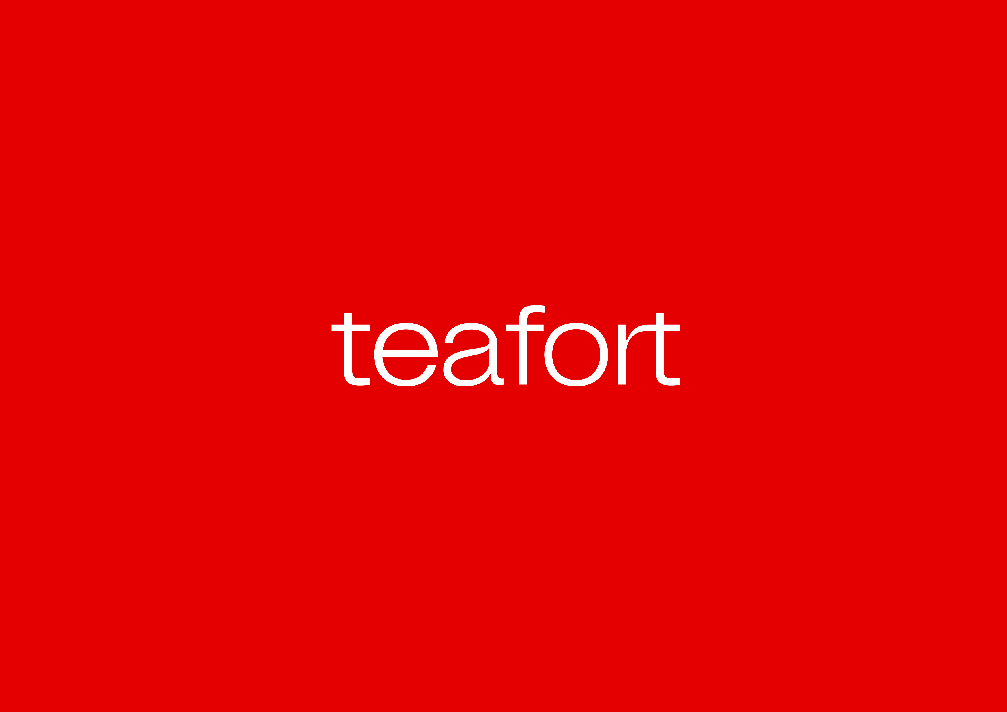 teafort 브랜드 아이덴티티 디자인