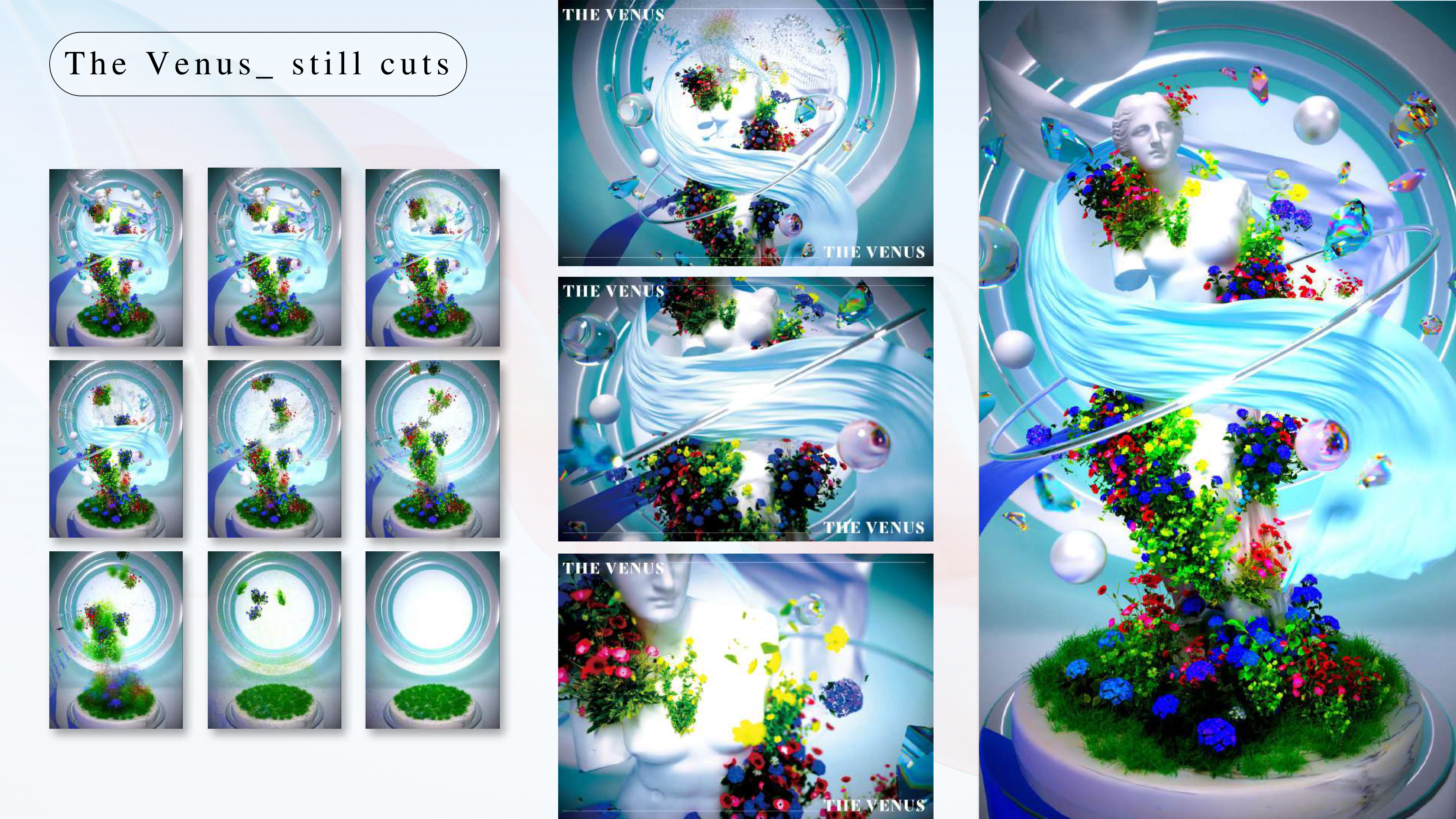 portfolio