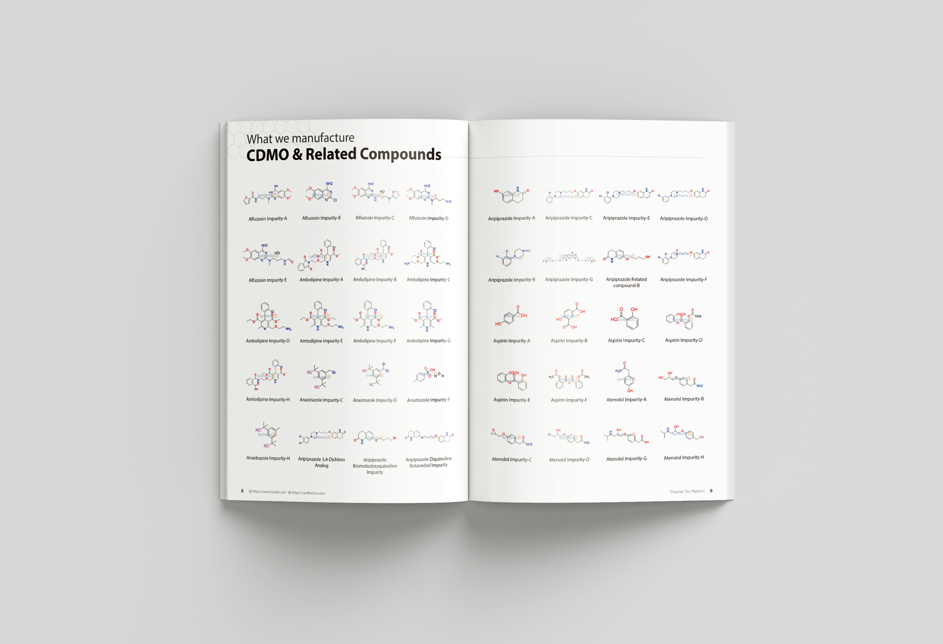 portfolio