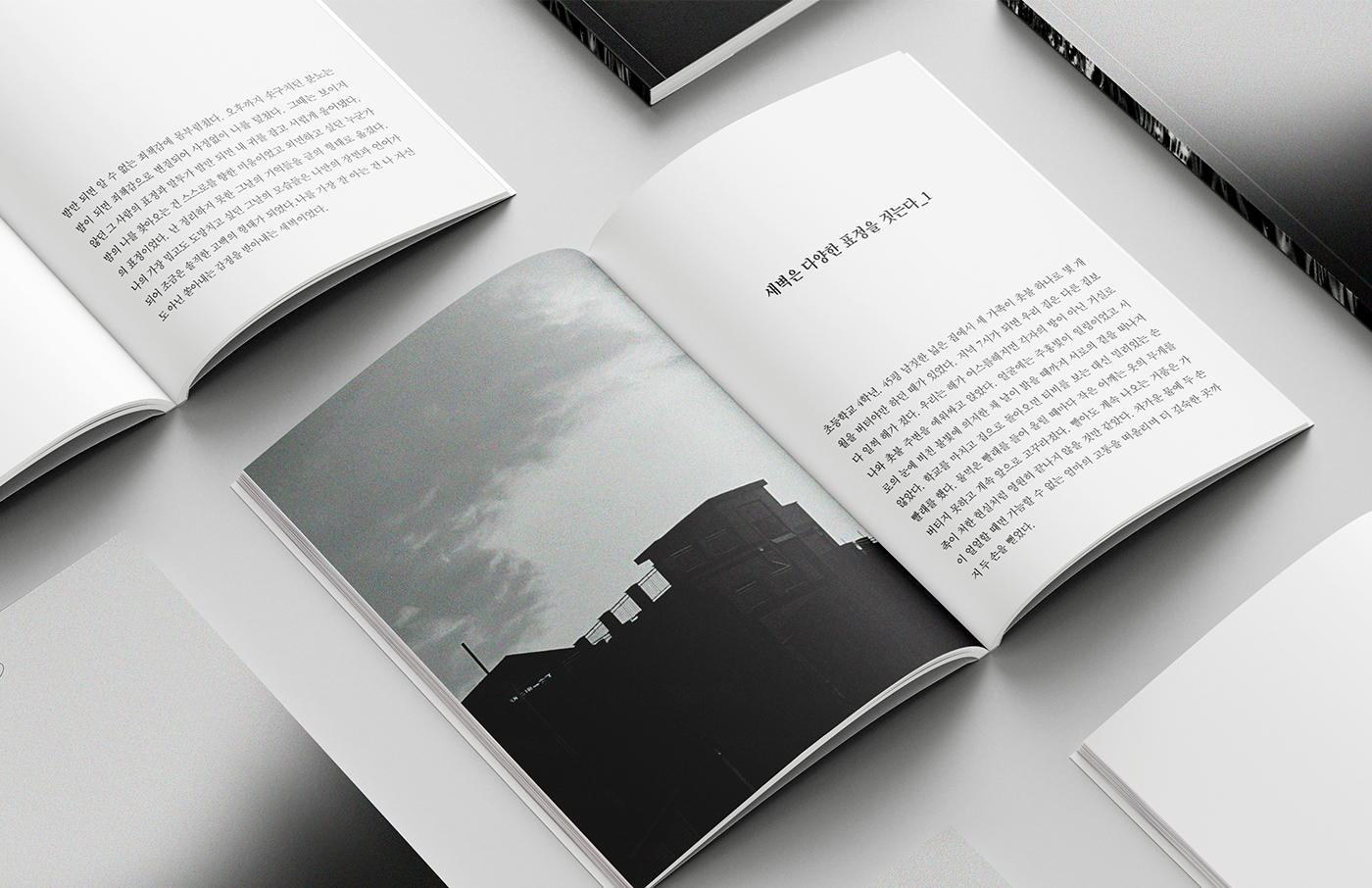portfolio