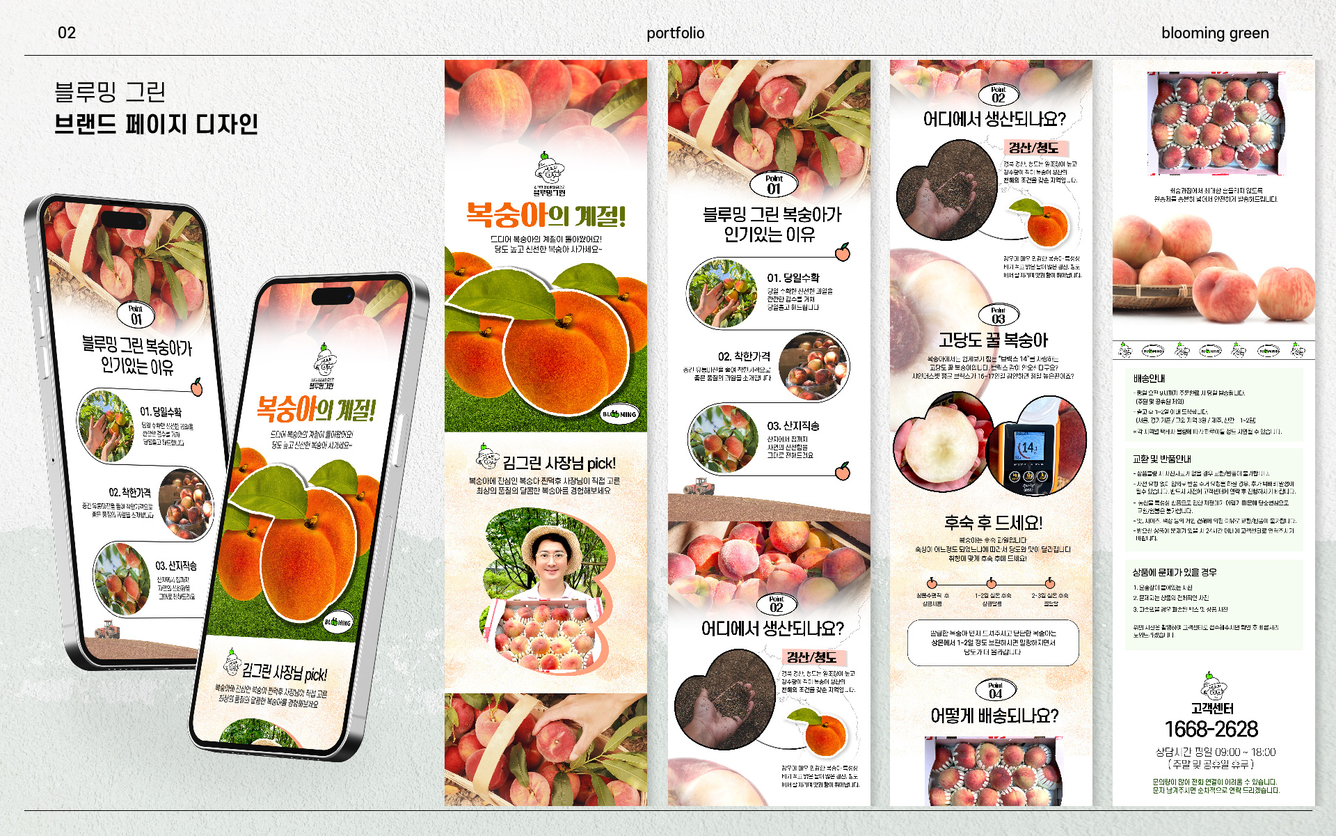 portfolio